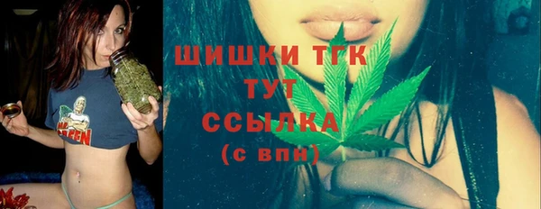 стафф Арсеньев