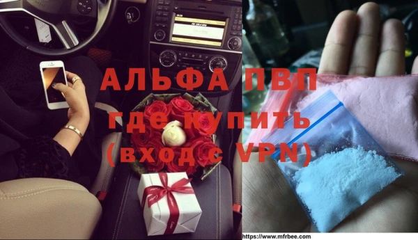 стафф Арсеньев