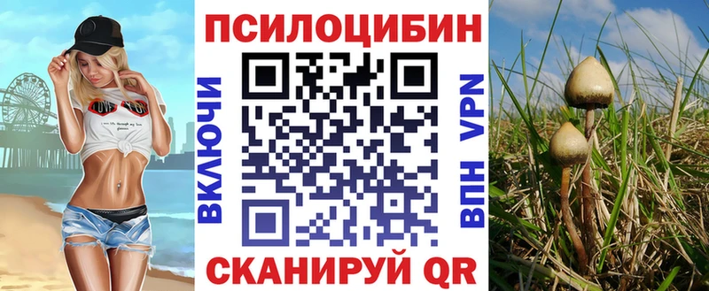 Галлюциногенные грибы Cubensis  кракен tor  Теберда 
