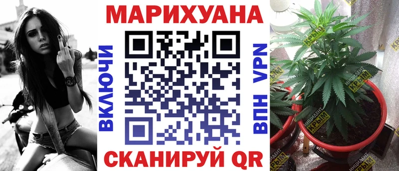 Бошки Шишки SATIVA & INDICA  купить закладку  Теберда 